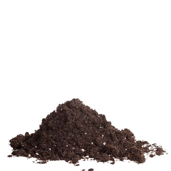 Dunkle Pflanzenerde als kleiner Haufen mit weißen Perlit-Anteilen.