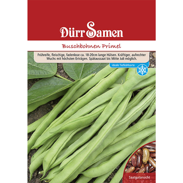 Dürr Samen Buschbohnen Primel Samenpackung
