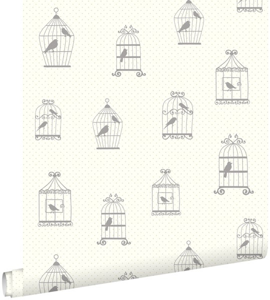 Tapetenrolle mit Vogelkäfigmuster