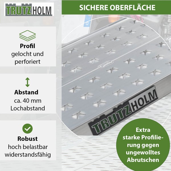 TRUTZHOLM 2 x Auffahrrampen 200 x 28 cm 540 kg Alu gelocht starr grau Verladerampen Motorradrampen