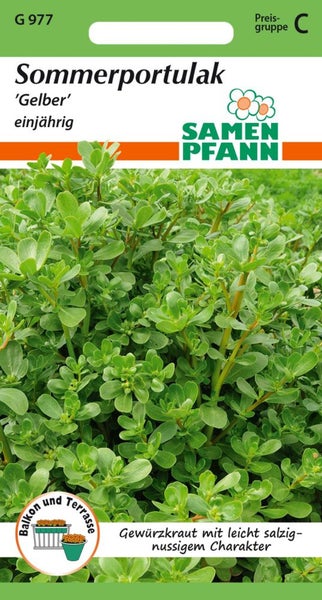 Samenpackung Sommerportulak gelb einjährig