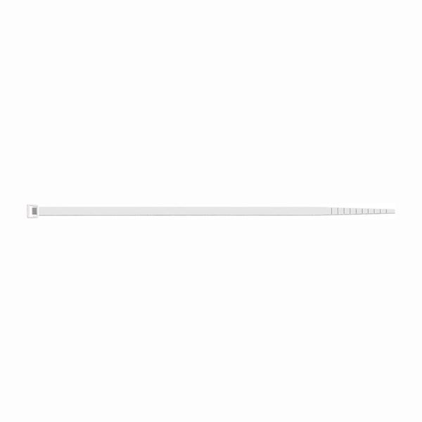 SAPISELCO 100x Kabelbinder Länge 200 mm Breite 3,5 mm natur - SEL.2.211