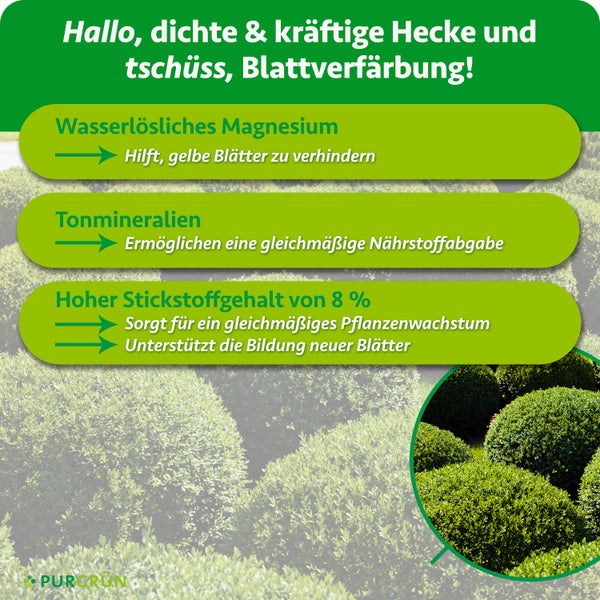 Infografik zum Hecken- und Buchsbaumdünger von PURGRÜN mit Hinweisen zu Magnesium, Tonmineralien und Stickstoffgehalt für gesundes Pflanzenwachstum.
