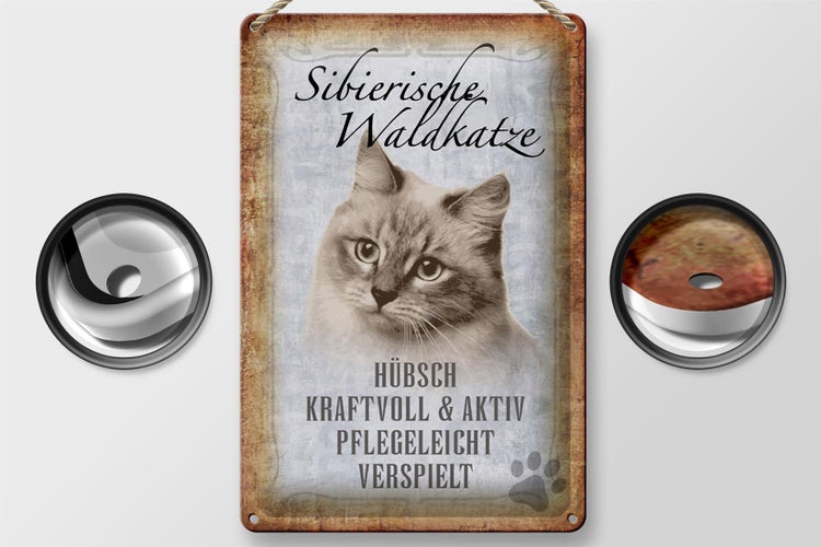 Blechschild Spruch 20x30cm sibierische Waldkatze Katze Wandschild