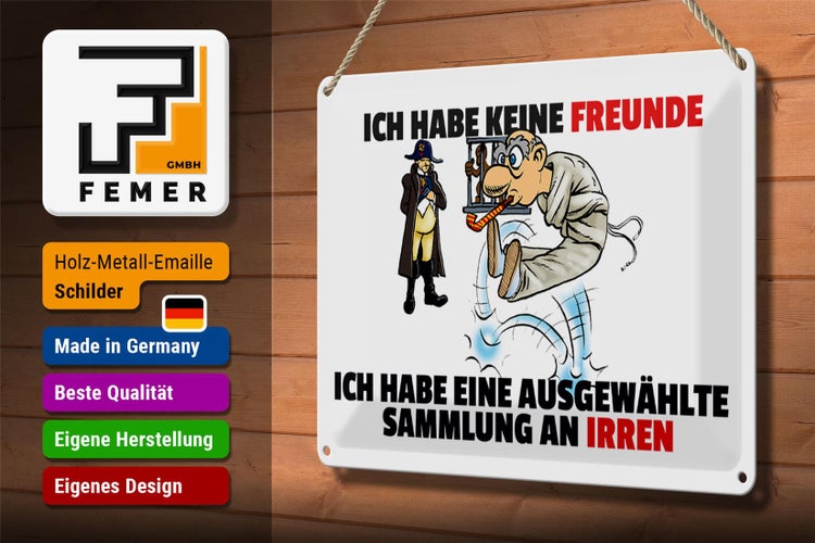 Blechschild Spruch 30x20cm keine Freunde Sammlung an Irren