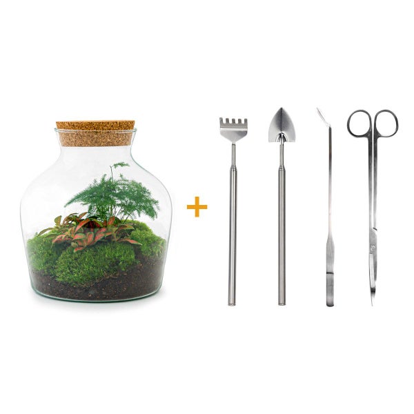 Flaschengarten Little Joe DIY-Pflanzenterrarium 21,5 cm incl. Rechen, Schaufel, Pinzette und Schere