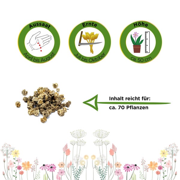 Aussaat April bis August, Ernte Juli bis Oktober, Wuchshöhe circa 50 Zentimeter, Inhalt für circa 70 Pflanzen.