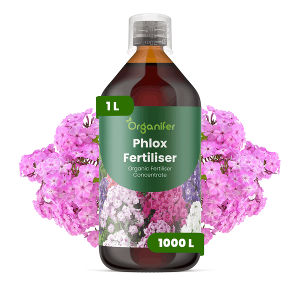 Organifer Phlox Dünger, organisches Düngerkonzentrat, 1 Liter Flasche für 1000 Liter Gießwasser.