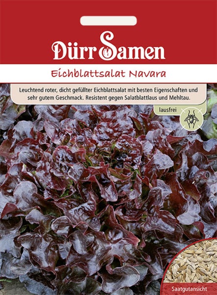 Saatgutpackung für roten Eichblattsalat Navara mit Dürr Samen Logo, Abbildung des Salats, Samendetail und Symbol für Blattlausresistenz.