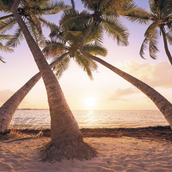 Strandlandschaft mit Palmen und Sonnenuntergang