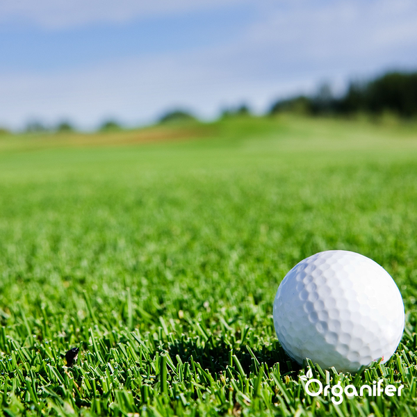 Golfball auf Golfplatz