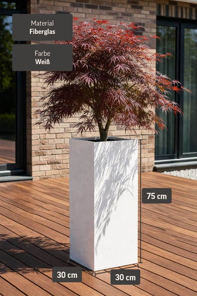 Quadratischer, weißer Pflanzkübel aus Fiberglas, 30 mal 30 mal 75 Zentimeter, mit japanischem Ahorn auf einer Holzterrasse vor einer Ziegelwand.