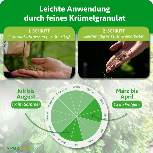 Infografik zur Anwendung von Krümelgranulat. Schritt eins: circa 30 bis 50 Gramm abmessen. Schritt zwei: gleichmäßig verteilen. Purgrün Logo.