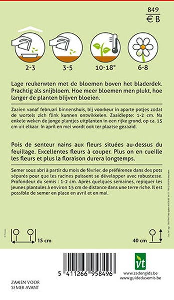 Informationen zur Aussaat von Duftwicken