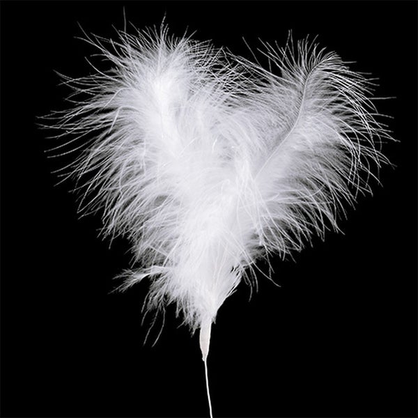 Dekorative Feder auf Stab