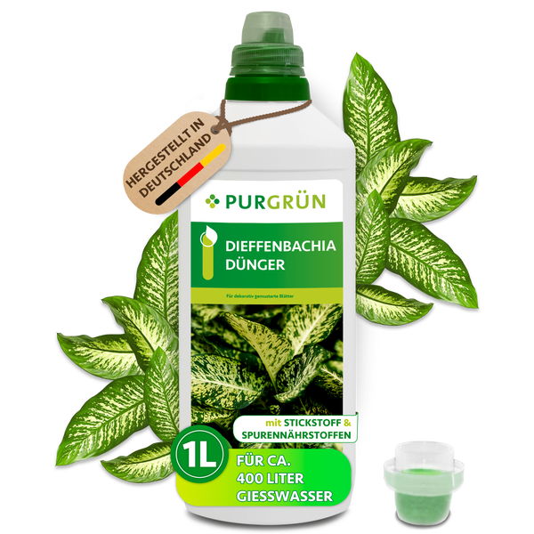 Purgrün Dieffenbachia Dünger, Flüssigdünger für dekorative Pflanzen, 1 Liter Flasche mit Messkappe, hergestellt in Deutschland.