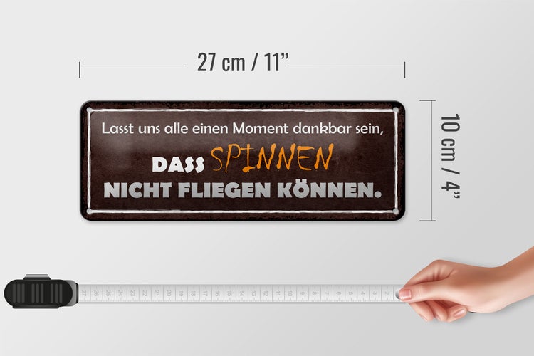 Blechschild Spruch 27x10cm Spinnen nicht fliegen können Dekoration