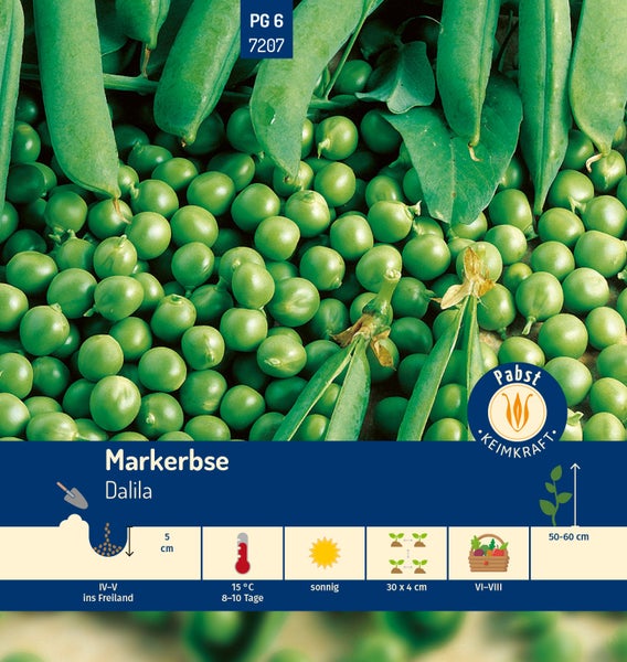 Samenpackung für Markerbsen Dalila mit Informationen zu Aussaat von April bis Mai, Erntezeit von Juni bis August und Wuchshöhe von 50 bis 60 Zentimetern. Pabst Keimkraft Logo.