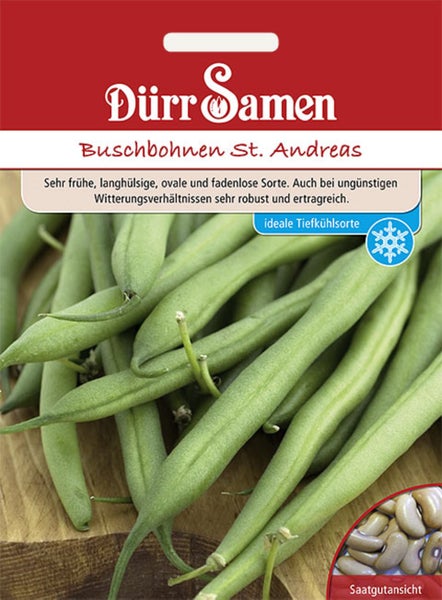 Samentüte Buschbohnen Sankt Andreas, Dürr Samen Logo, fadenlose grüne Bohnen, ideal zum Tiefkühlen.