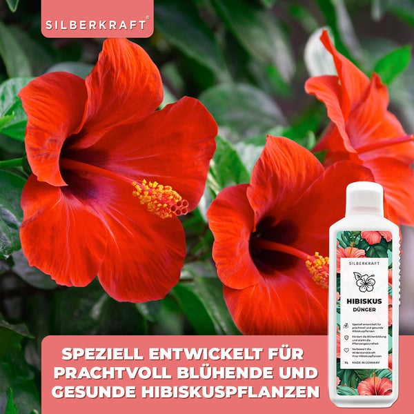SILBERKRAFT Hibiskus Dünger – Für Roseneibisch & Hibiskus – 1 Liter