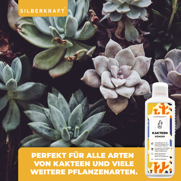 SILBERKRAFT Kakteen Bio-Dünger – 1 Liter