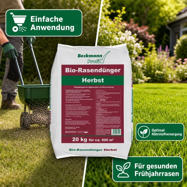 Ein Sack Beckmann Profi Bio-Rasendünger Herbst, 20 kg für 500 Quadratmeter, beim Ausbringen mit einem Streuwagen auf einem Gartenrasen.