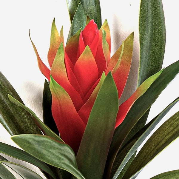 Künstlicher Kroton-Zweig mit bunt gemusterten Blättern in Grün, Gelb und Rot.