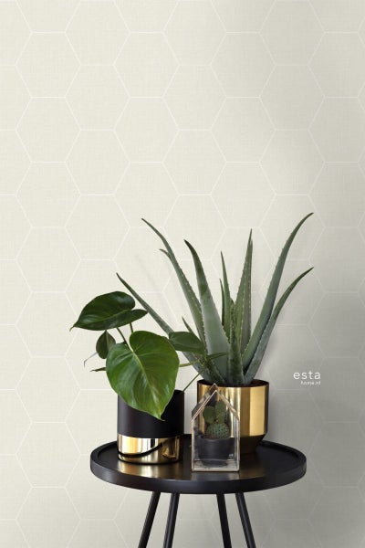 Innenaufnahme mit einer Wandtapete mit einem sechseckigen Muster, kombiniert mit Zimmerpflanzen auf einem Tisch