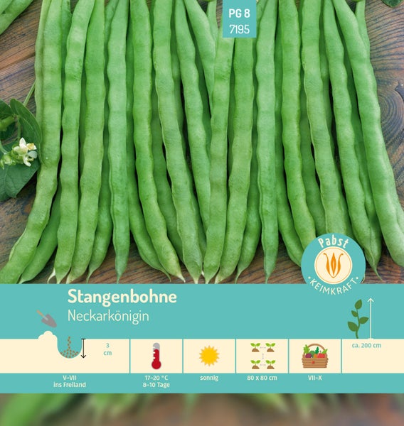 Samenpackung für Stangenbohne Neckarkönigin mit Symbolen für Aussaat, Standort und Wuchshöhe.