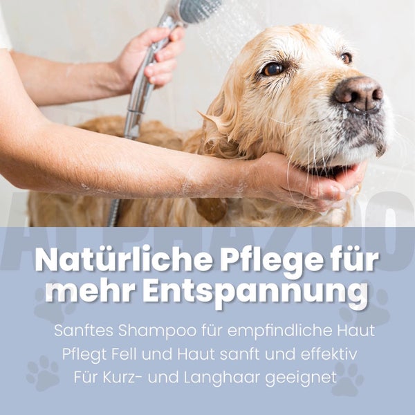 Ein Hund wird mit einer Duschbrause gewaschen
