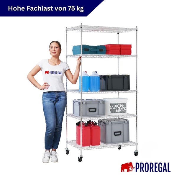 Proregal Drahtregal auf Rollen mit fünf Fachböden, hohe Fachlast von 75 Kilogramm pro Boden, Proregal Logo.