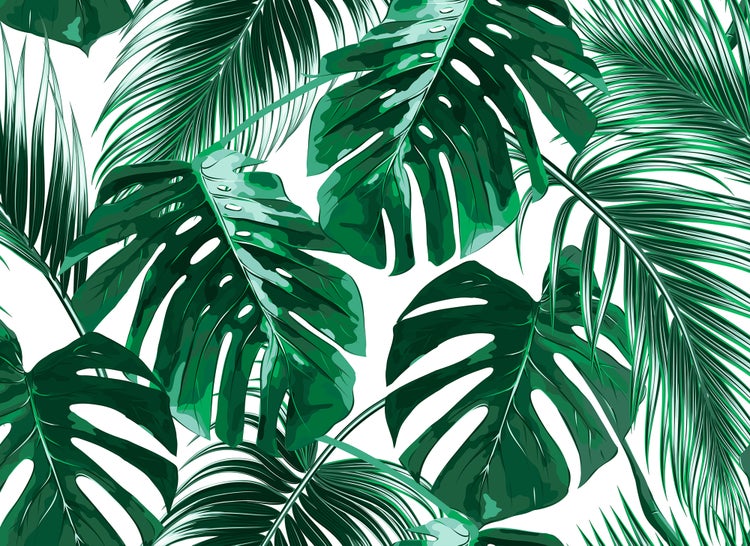 Tapete mit einem Muster aus grünen tropischen Blättern, bestehend aus Monstera-Blättern und Palmenwedeln.