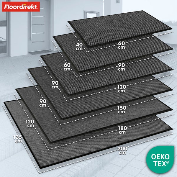 FLOORDIREKT Schmutzfangmatte - SKY Novo - PVC-frei - Extra Halt & Langlebigkeit - Anthrazit - 40 x 60 cm
