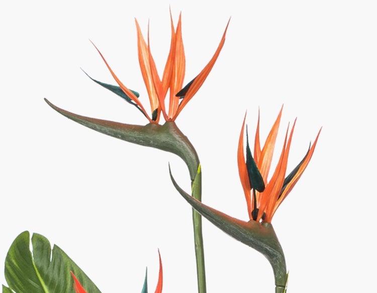 Künstliche Strelitzie Paradiesvogelblume mit orangefarbenen Blüten und grünem Stängel.