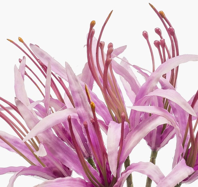 Nahaufnahme einer pinkfarbenen Kunstblume mit schmalen, gebogenen Blütenblättern und langen Staubblättern für die Innendekoration.