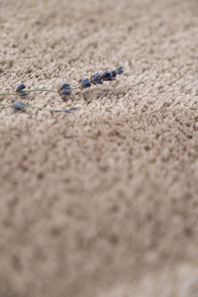 Teppichfliesen flauschig in 50 x 50 cm Weiche Teppichfliesen in Velours Qualität beige braun ideal für Schlafzimmer