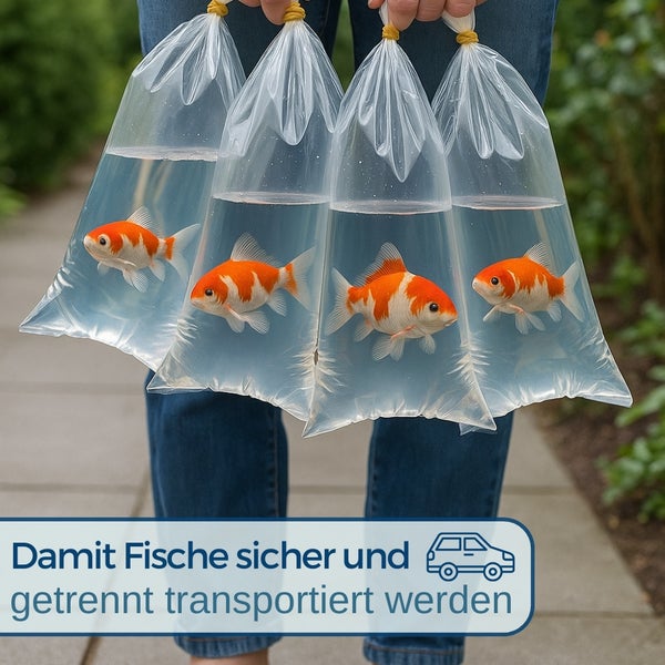 Person hält vier Tüten mit Goldfischen zum sicheren Transport