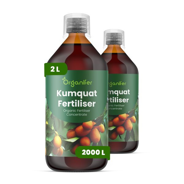 Organifer Kumquat-Dünger, organisches Düngerkonzentrat, 2 Liter.