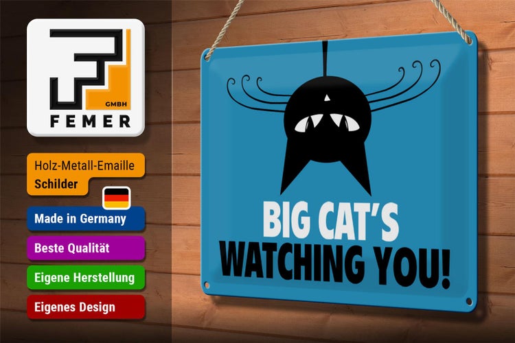 Blechschild Spruch 30x20cm Big cat`s watching you Katze