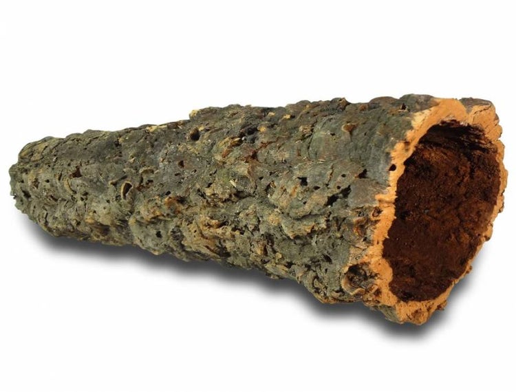 Naturkorkröhre, hohl, Dekorationselement für Terrarien und Nagergehege.