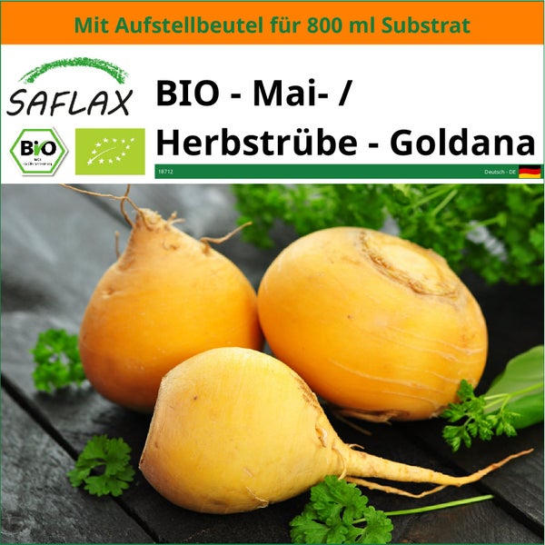 SAFLAX Garden in the bag - BIO - Mai- / Herbstrübe - Goldana - Brassica rapa - 500 Samen - Mit Anzuchtsubstrat im praktischen, selbst aufstellenden Beutel