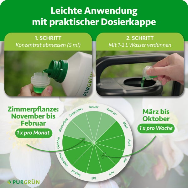 Purgrün Dünger: 5 Milliliter auf 1 bis 2 Liter Wasser. Zimmerpflanzen November bis Februar monatlich, März bis Oktober wöchentlich. Purgrün Logo.