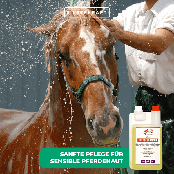 Sensitiv Shampoo für Pferde & Fohlen – Milde Pflegeformel für empfindliche Tierhaut – Ohne Farbstoffe & Sulfate – Mit Aloe Vera & Vitamin E