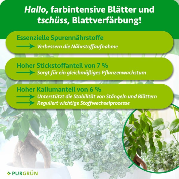 Infografik zu Purgrün Pflanzendünger mit Vorteilen: Spurennährstoffe, 7 Prozent Stickstoff und 6 Prozent Kalium für Wachstum und Blattfarbe. Purgrün Logo.