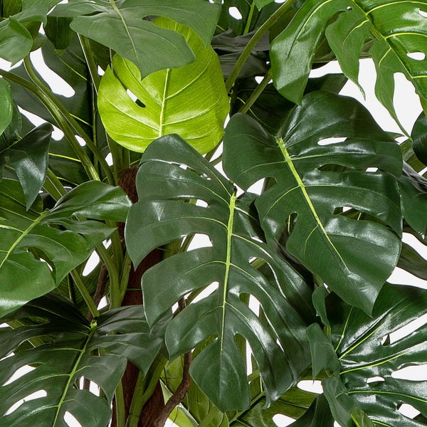 Künstliche Monstera Pflanze mit großen grünen Blättern, Kokosstab und Luftwurzeln in einem schwarzen Topf.