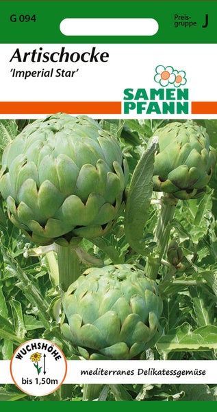 Artischockenpflanze der Sorte Imperial Star von Samen Pfann