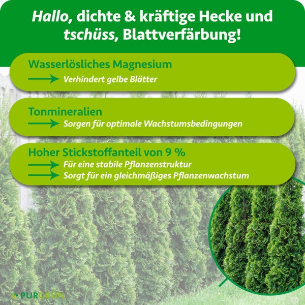Infografik zu Heckendünger: Magnesium gegen gelbe Blätter, Tonmineralien für Wachstum und 9 Prozent Stickstoff für stabile Pflanzen. Purgrün Logo.