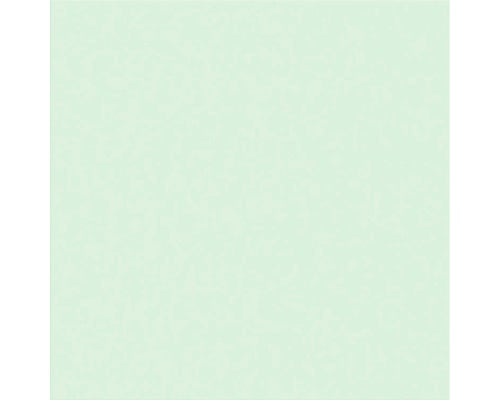 Zement Wand- und Bodenfliese Uni 6.1 mint green 20x20x1,6 cm