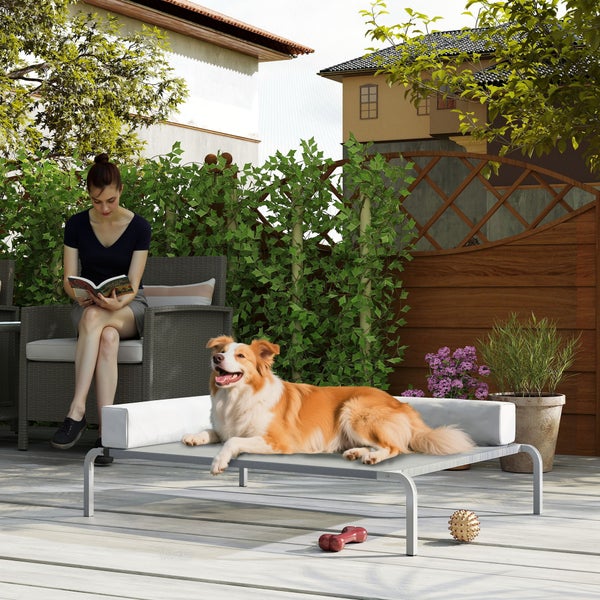 Szene im Freien mit einer Frau, die liest, und einem Hund, der auf einem erhöhten Hundebett liegt