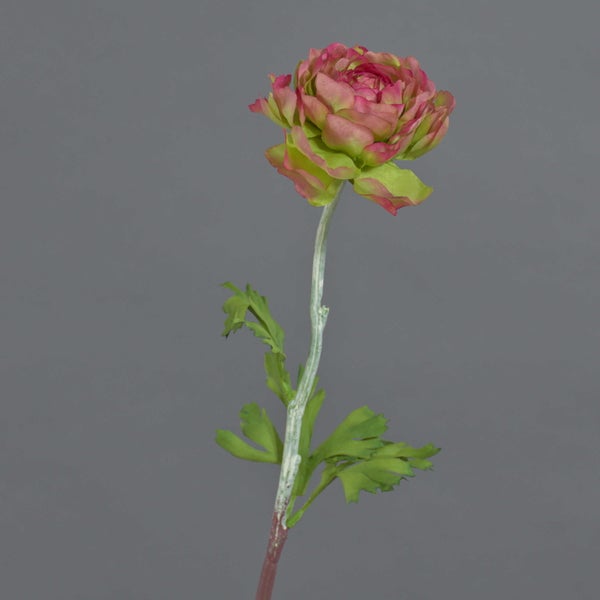 Künstliche Ranunkel in Pink und Grün mit langem Stiel und grünen Blättern.